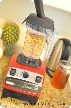 Vitamix with tamper and peanuts