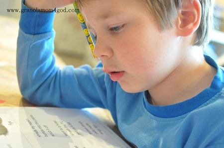 all about reading level 2