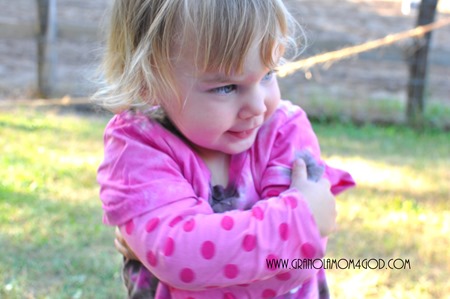 thinking at Fort Wilderness