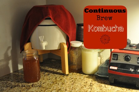 continuous brew kombucha tutorial