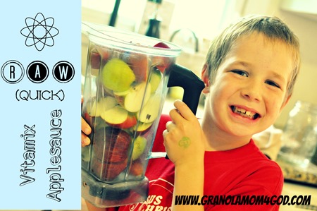 Vitamix raw  applesauce