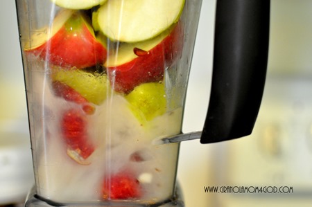 applesauce water vitamix
