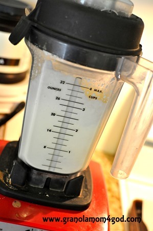 vitamix whipping cream