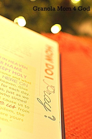 bible in a year how to pray