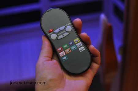 remote for lights in golden design sauna