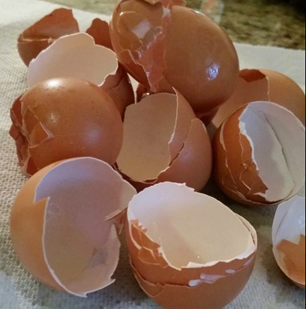 cracked eggs